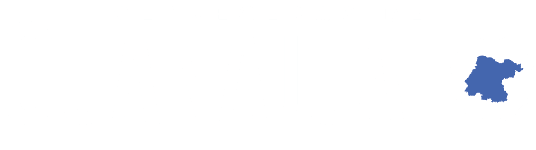 Cerveceros de Guanajuato logo